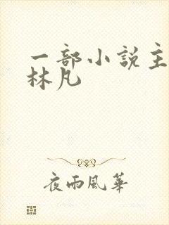 一部小说主角叫林凡