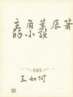 主角叶辰萧初然的小说