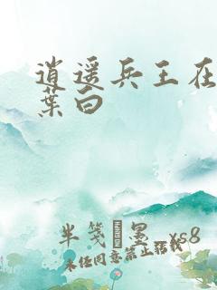 逍遥兵王在都市叶白