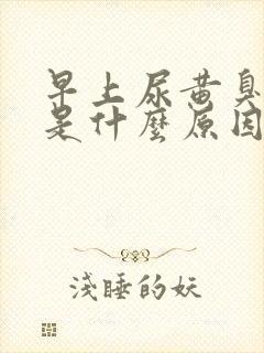 早上尿黄臭味重是什么原因男