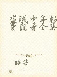 盗贼少年动漫免费观看全集高清