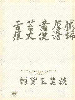 舌苔黄厚腻有齿痕大便溏稀