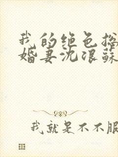 我的绝色总裁未婚妻沈浪苏若雪