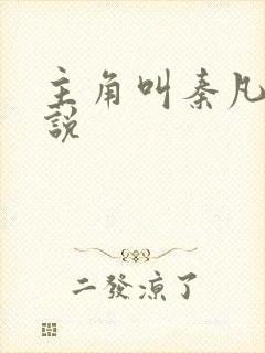 主角叫秦凡的小说