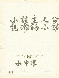 小说主人公叫宋观潮的小说名字