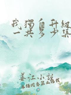 我独自升级动漫一共多少集