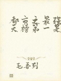 都市之最强狂兵天榜第一是谁