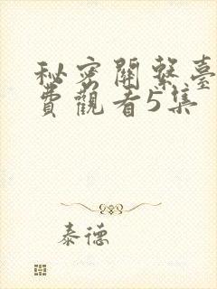 秘密关系台剧免费观看5集