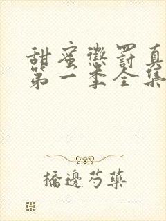 甜蜜惩罚真人版第一季全集台词剧情介绍