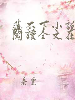 落不下小说免费阅读全文在线阅笔趣无弹窗