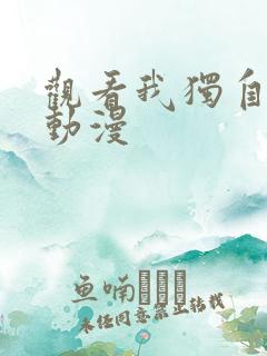 观看我独自升级动漫