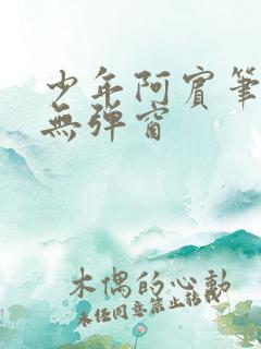 少年阿宾笔趣阁无弹窗