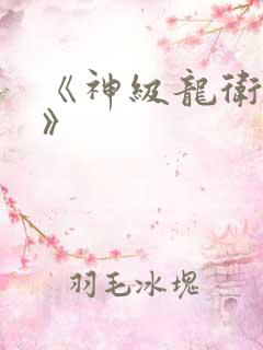 《神级龙卫沈浪》