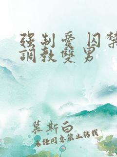 强制爱 囚禁 调教双男