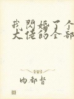 我闪婚了个财阀大佬的全部小说