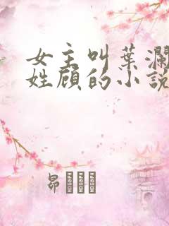 女主叫叶澜男主姓顾的小说