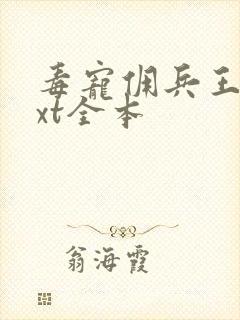 毒宠佣兵王妃txt全本