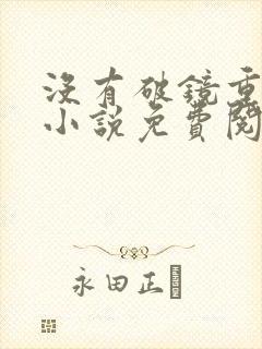 没有破镜重圆的小说免费阅读