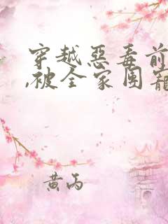 穿越恶毒前妻后,被全家团宠免费阅读小说
