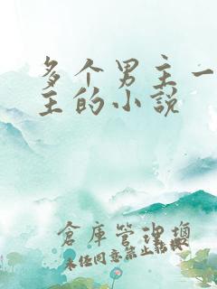 多个男主一个女主的小说
