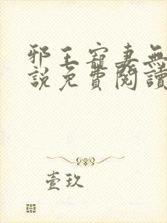 邪王宠妻无度小说免费阅读