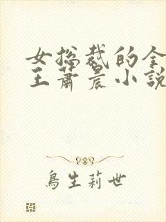 女总裁的全能兵王萧晨小说免费读