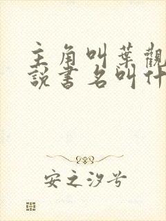 主角叫叶观的小说书名叫什么