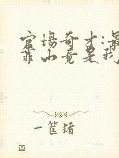 官场奇才:最强靠山竟是我自己李澜全本阅