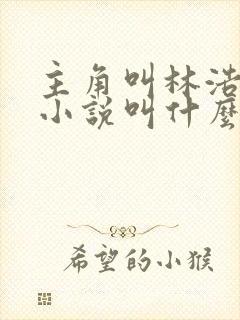 主角叫林浩然的小说叫什么