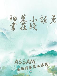 神墓小说免费听书在线