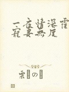 一夜情深霍先生宠妻无度