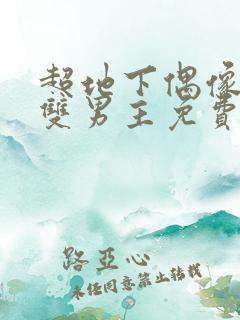 超地下偶像动漫双男主免费观看动漫