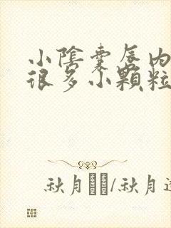 小阴囊唇内侧有很多小颗粒一碰就疼