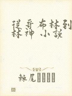 从哥布林到哥布林神 小说