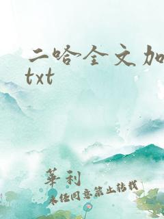 二哈全文加番外txt