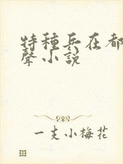 特种兵在都市有声小说