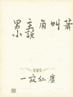 男主角叫萧晏的小说