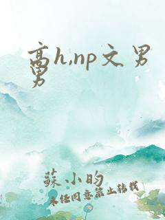 高h,np文男男