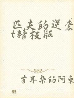 匹夫的逆袭txt精校版