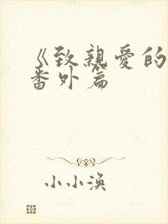 《致亲爱的你》番外篇