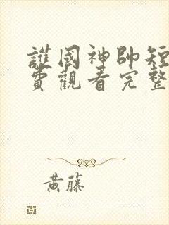 护国神帅短剧免费观看完整版