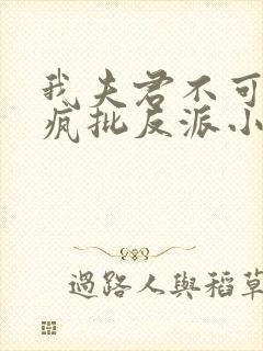 我夫君不可能是疯批反派小说