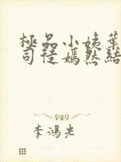 极品小姨叶凡和司徒嫣然结局