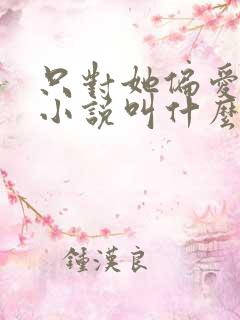 只对她偏爱原著小说叫什么名字
