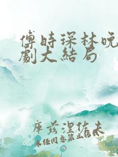 傅时琛林晚晚短剧大结局