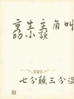 重生主角叫庞北的小说