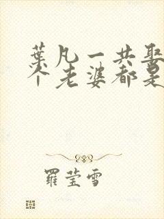 叶凡一共娶了几个老婆都是谁