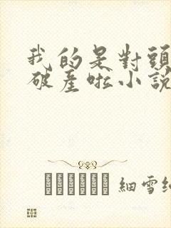 我的是对头终于破产啦小说