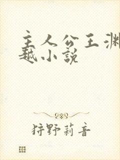 主人公王渊的穿越小说