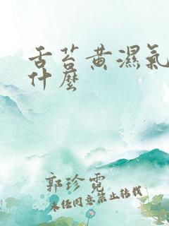 舌苔黄湿气重吃什么